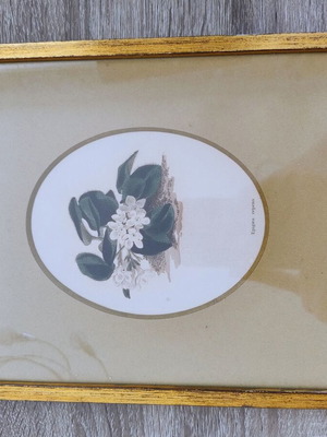 Antique original steel engraving art print mid-19th century like new