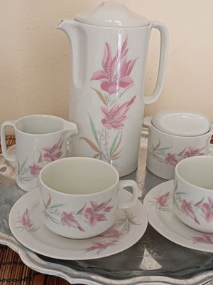 Bavarian porcelain tea set like new