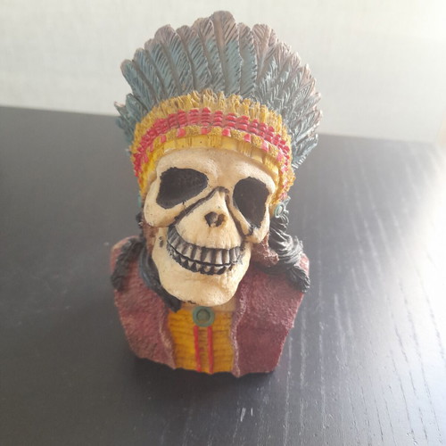 Skull in excellent condition, height 13cm