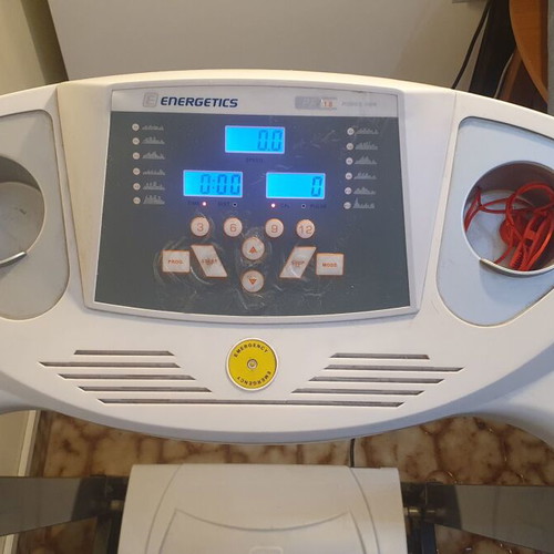 Energetics treadmill