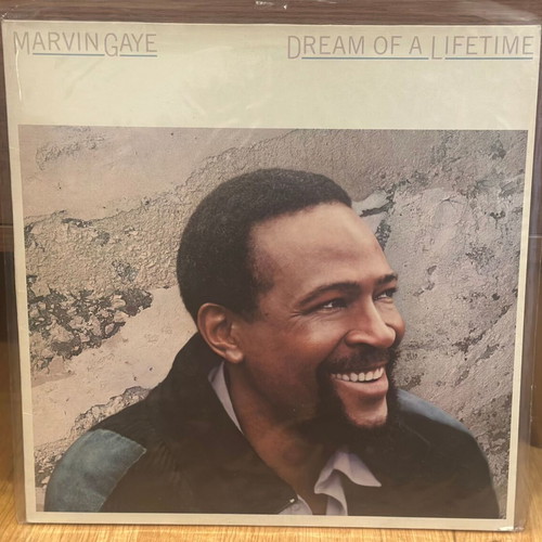 Marvin Gaye Dream of a Lifetime vinyl like new, R&B / Soul