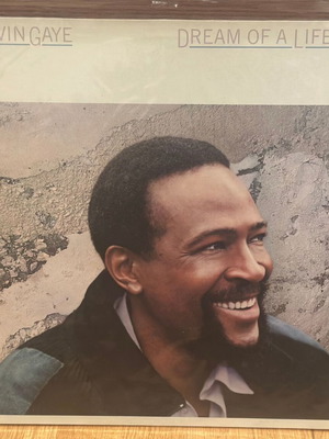 Marvin Gaye Dream of a Lifetime vinyl like new, R&B / Soul