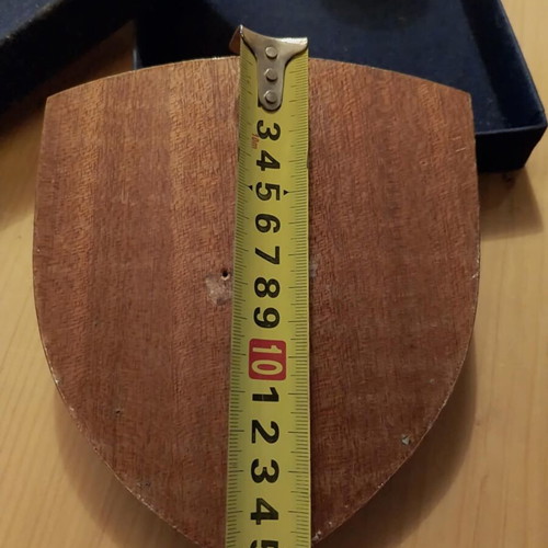 Honorary plaque for Air Force Officer 350 Wing like new