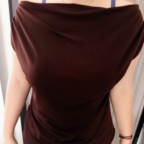 Creative Design Works women's brown top size Large like new