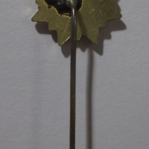 Scout commemorative pin "ΔΙΠΛ. ΕΦΟΡΟΥ 2ο ΣΕΟ" like new