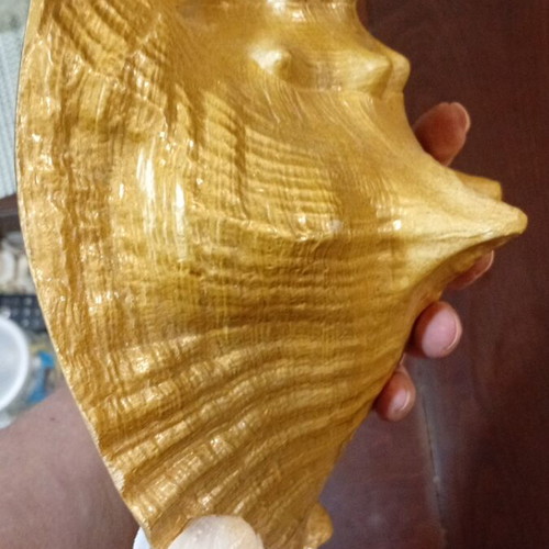 Vintage large seashell with artistic intervention like new