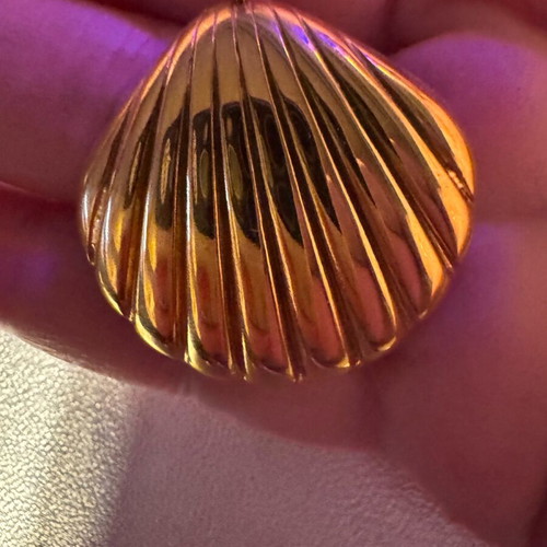 Lemon jwlerry stainless steel shell necklace gold like new