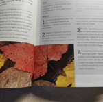 The Bible of Meditation book by Madonna Gauding