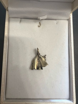 Silver 925 wizard pendant Gandalf type new