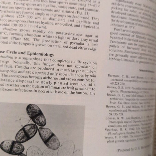 Compendium of Citrus Diseases new, citrus disease guide