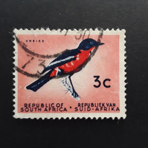 Νότια Αφρική 1951 γραμματόσημο Singing bird μεταχειρισμένο