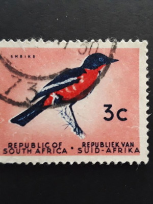 Νότια Αφρική 1951 γραμματόσημο Singing bird μεταχειρισμένο