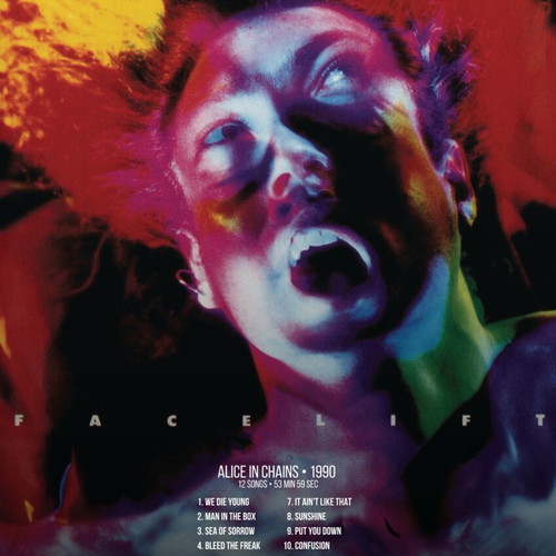 Alice in Chains poster 60x45 cm new, printed on special paper