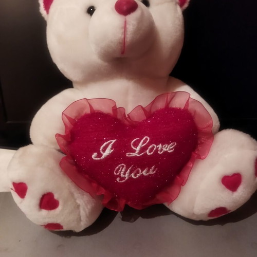 Plush teddy bear with heart