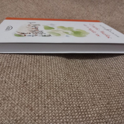 Le Petit Nicolas and His Friends used children's book