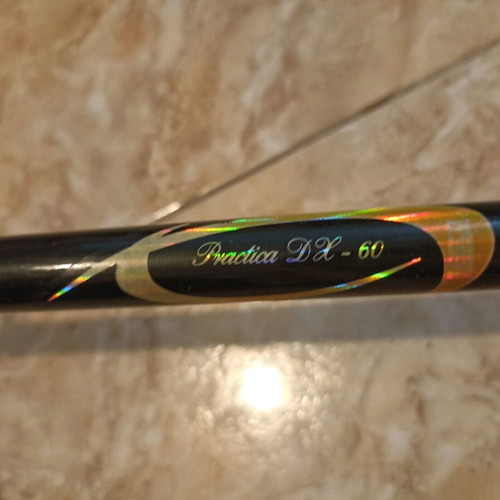 Zebco Praktica DX-60 Fishing Rod, 40-60