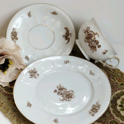 PT Tirschenreuth Bavaria antique coffee set used