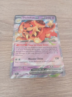 Dachsbun EX 067/142 Pokemon card like new
