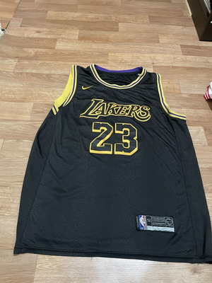Nike LA Lakers Lebron James men's jersey like new official replica