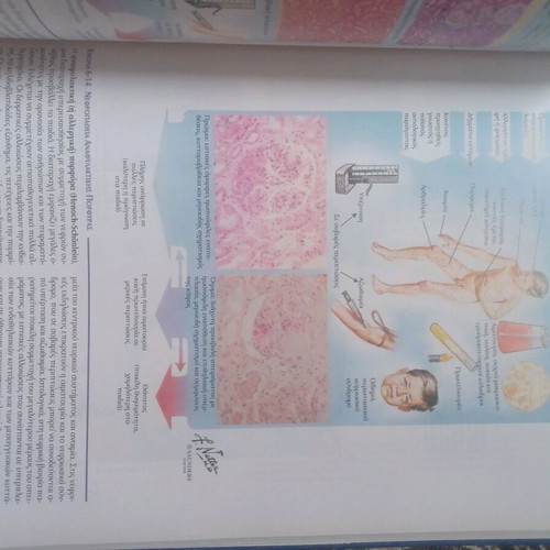 Pathological Anatomy like new