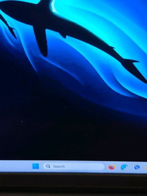 Dell Inspiron 3511 laptop with Intel Core i7, 16GB RAM, 512GB SSD, Windows 11