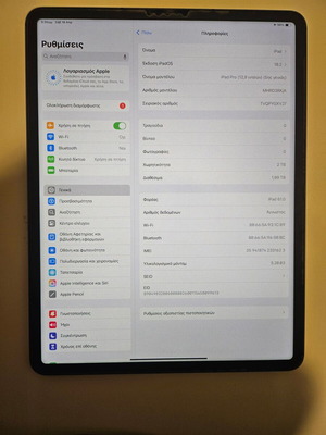 Ipad Pro 12.9 M1 2TB 5G used with Pencil 2 and Spigen Armor case