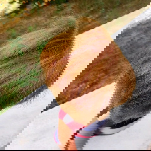 Винтидж кукла употребявана, антикварна