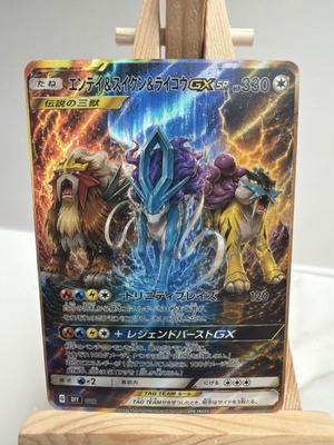 Pokemon Johto's Legendary Dogs custom card