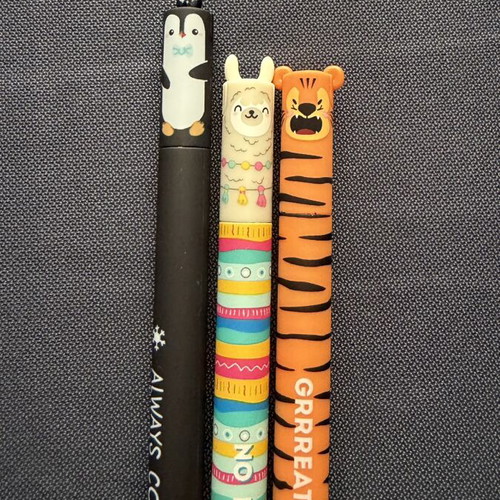 Erasable pen Holee new