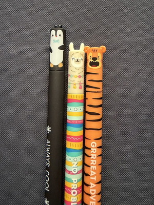 Erasable pen Holee new