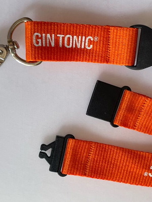 Lanyard with detachable element like new