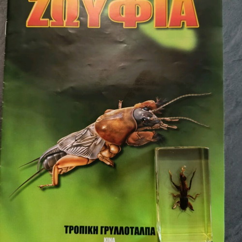 Real insects issue 30 used
