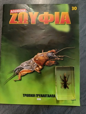 Real insects issue 30 used