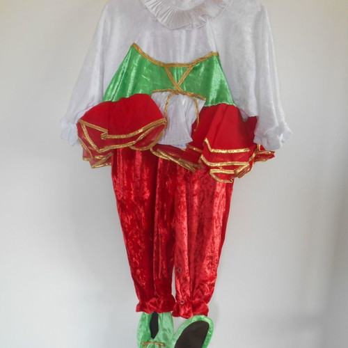 Carnival Costume Little Red Riding Hood 1yr new