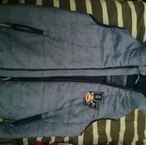 Vest