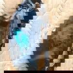 Τσάντα μπανάνα Nike μέσης μπλε καινούργιο ύφασμα