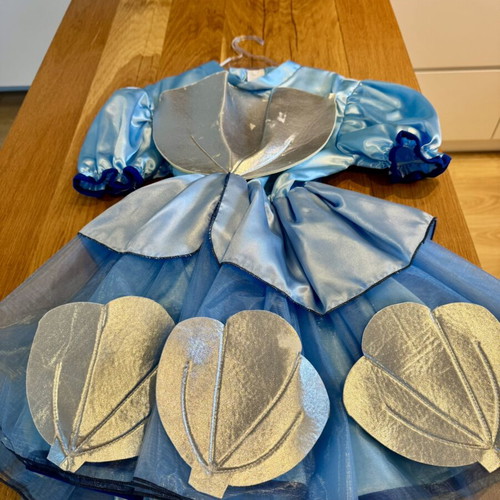 Shell carnival costume for girls like new, age 5-7