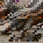  ΣΕΤ 6ΤΜΧ JOOLZ ΚΑΡΟΤΣΙ, ΠΟΡΤ ΜΠΕΜΠΕ, ΚΑΘΙΣΜΑ ΑΥΤΟΚΙΝ.