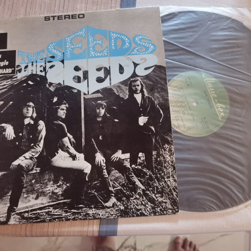 The Seeds LP 1966 psychedelic garage rock album