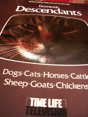 Wild, Wild World of Animals Domestic Descendants βιβλίο καινούργιο