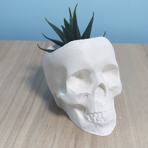 Decorative skull planter new 3D printed for small plants