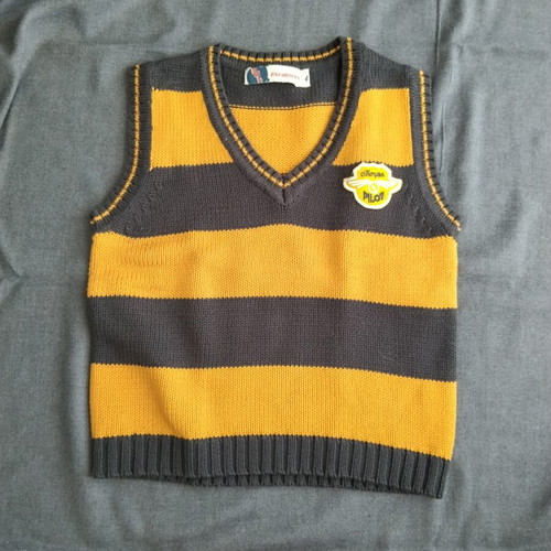 Energiers boys' yellow striped sweater vest, size 4 years