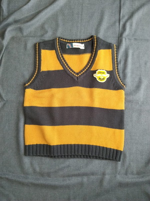 Energiers boys' yellow striped sweater vest, size 4 years