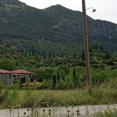 Οικόπεδο 450 τ.μ. στην Κάτω Αγοριανή Φωκίδας οικοδομήσιμο, γωνιακό