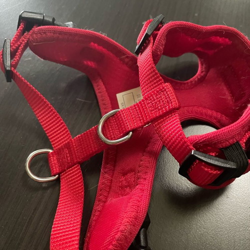 Petlando Mesh Vest used, red, size XS for small pets