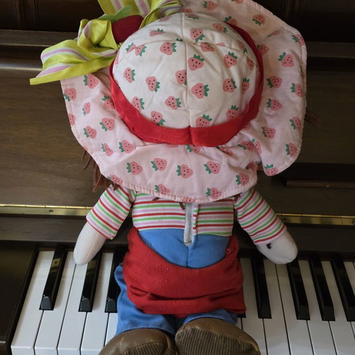 Strawberry Shortcake doll Lyra collectible used from 1980s