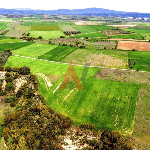 Buildable agricultural land 15,000 m² in Scholari Thessaloniki