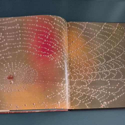 Coffe Table Book "The Power of Nature" like new