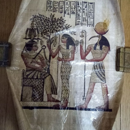 Egyptian papyrus new