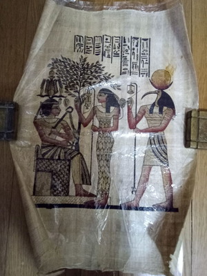Egyptian papyrus new